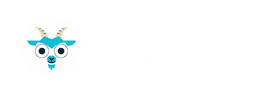 Lingoat